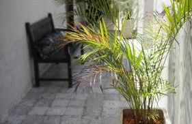 VILLA CATANIA - Foto 29