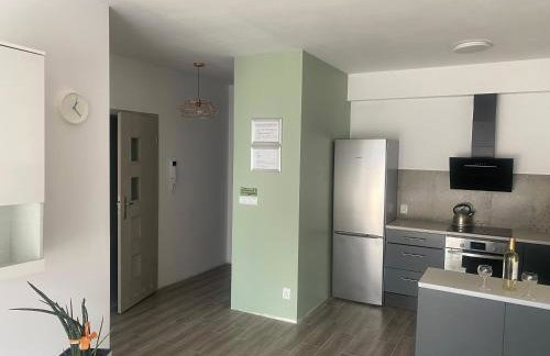 1 Tyskie Apartamenty z prywatnym ogródkiem - Foto 28