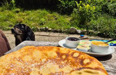 Nattersbergalm - Foto 11