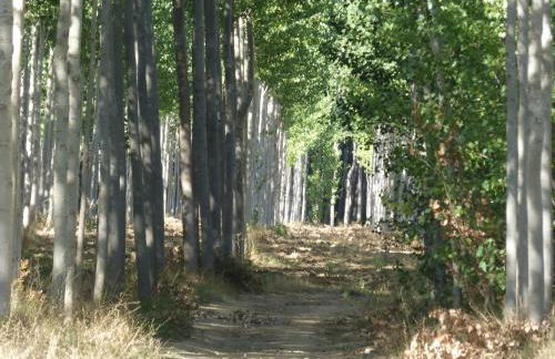 Casa galana - Foto 54