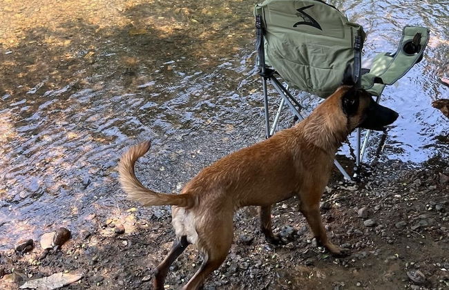 Manowwhan Homestay - Foto 25