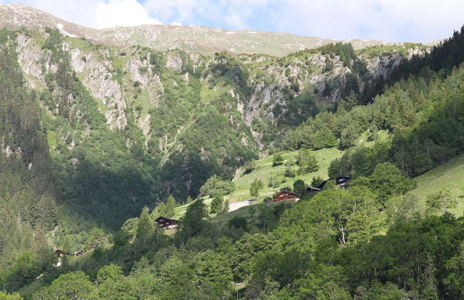 Glacier Views & Ski Trails - Photo 24