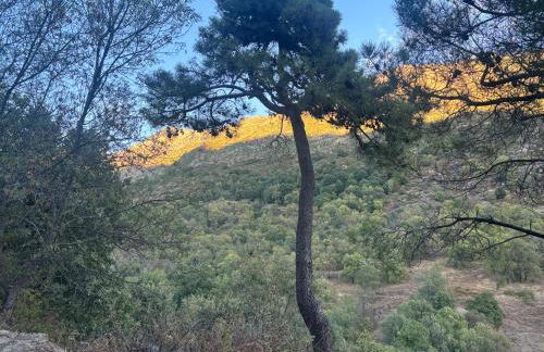 Luna de Gredos - Dormitorios con baño en suite - Foto 56