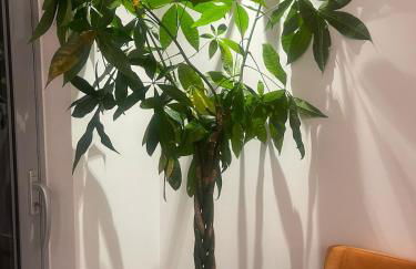 Luxury 1 Bedroom Apartment In London with Free parking - Foto 34