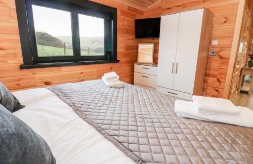 Bryn Eiddon Log Cabin - Photo 22