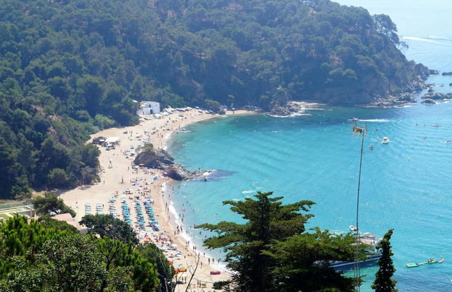 107528 - House in Cala Canyelles - Foto 17