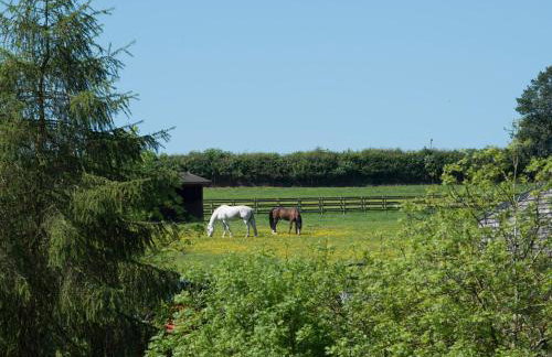 Mill Cottage - Foto 25