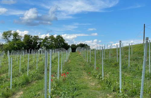 Cascina Mabette - Foto 17