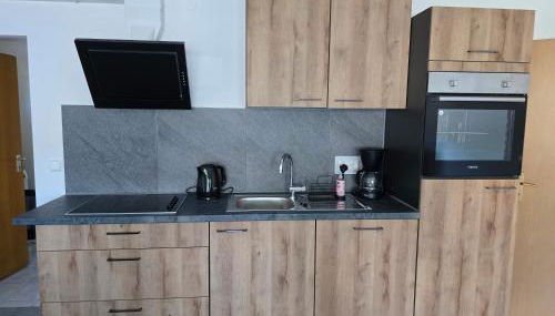 Ferienwohnung Baj - Foto 4, stove, dishwasher