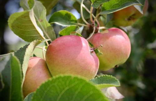 Modern Barn Conversion - Photo 19