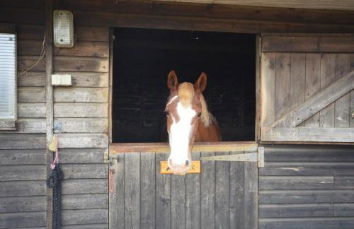 Queen Bower Farm Lodge - Foto 80