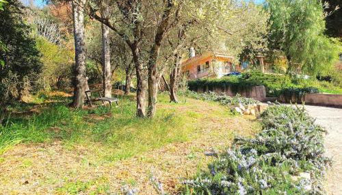 Un brin de paille - Foto 2, Garden, Garden view