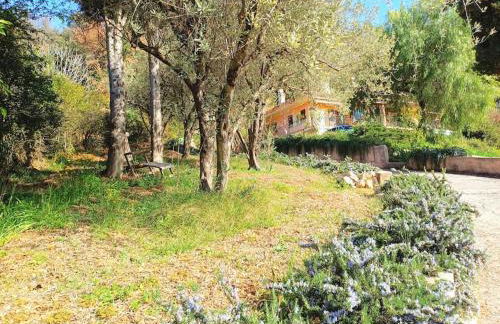 Un brin de paille - Foto 2