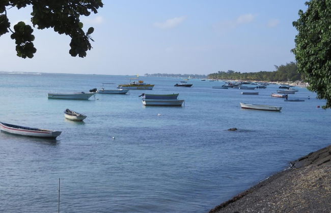 Villa Kreola - Foto 48