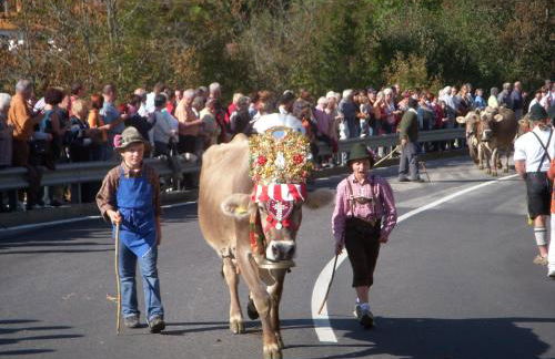 Residence Terentis - Foto 74