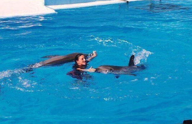 Villa Castelos, Quelfes, Eastern Algarve 8700-581 - Photo 22