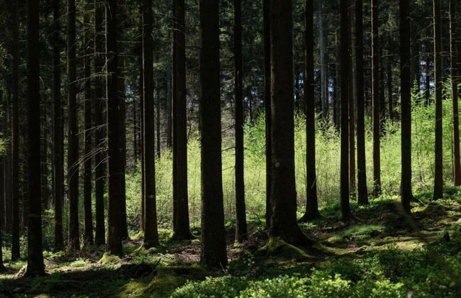 Apartment in Molat With sea View - Foto 16