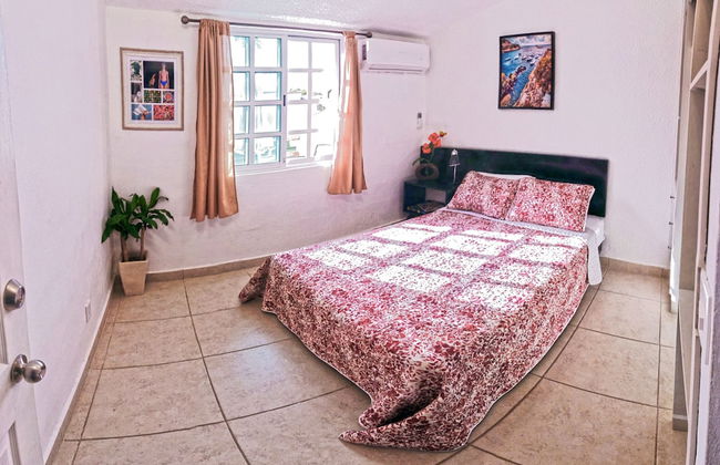 HominngBird - Foto 25