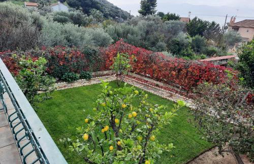 Ella's Sea View Villa - Photo 32