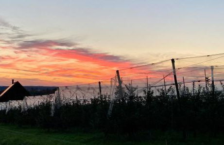 BLICKinsGRUEN - Foto 39