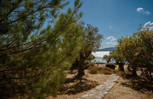 Traditional Architecture Seafront Stone House in 25000sqm Olive Grove - C - Photo 17