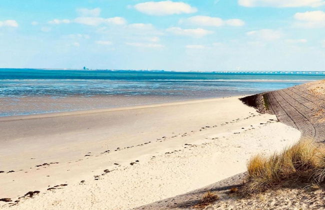 Villa in Zeeland With Jacuzzi and Sauna - Foto 37