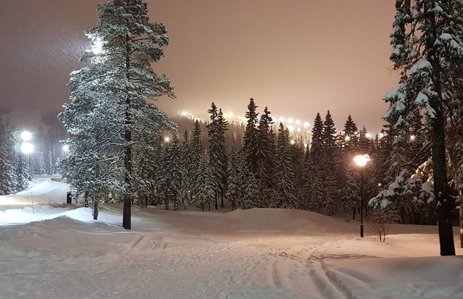 8 Person Holiday Home in Salen - Foto 17