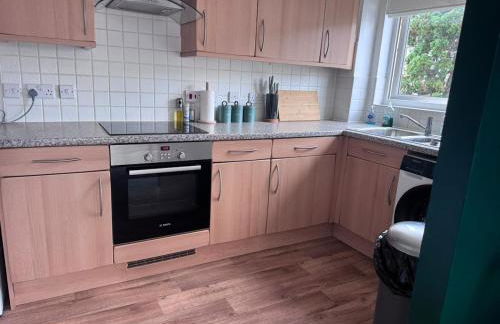 Beautiful flat in Exeter city centre - Foto 2