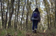 Quinta do Limite - Agroturismo - Foto 32