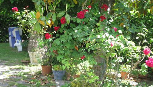 villa gesualda - Foto 4, Garden