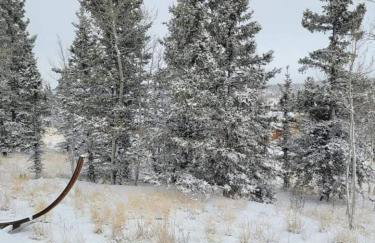 Fox Hole Serene Secluded Private Cabin Hot Tub - Foto 21