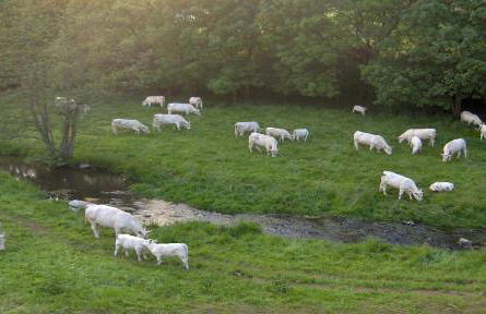 Betzemühle 2 Bauernhof - Foto 16