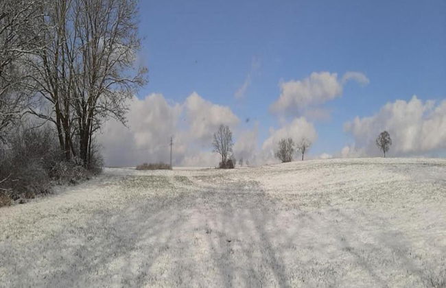 Wohnung in Deifeld mit Garten - Photo 28