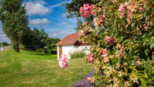 Mein Haus - Foto 5, Garden, Garden view