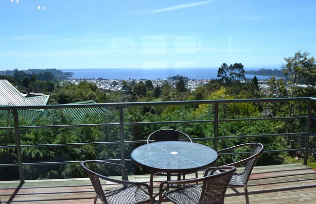 Krause Lodge - Photo 57