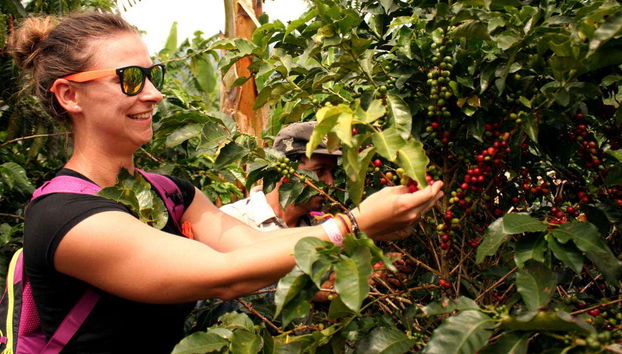 Tour do café por Cali - Foto 5