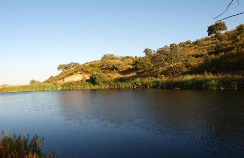 Herdade dos Montes Bastos - Foto 10