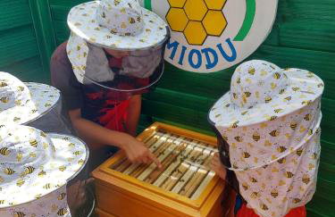 Dolina Miodu - Agro Kaszuby, Sauna, Balia - Foto 34