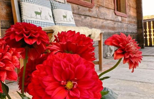 Steirisch Ursprung - Foto 42