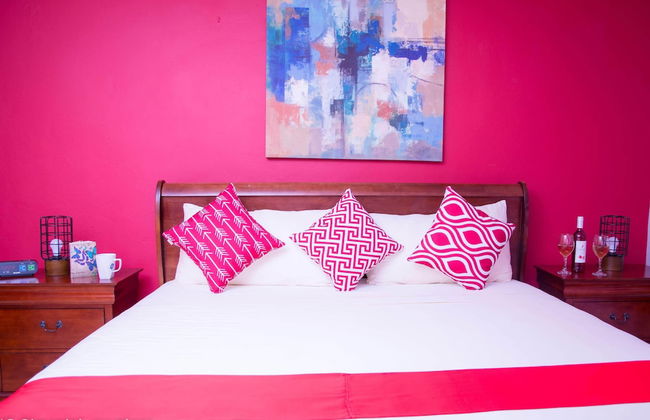 Premier Taylormade Apartment Kingston - Photo 1