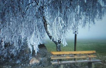 Landmanns Home - Foto 8