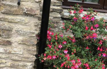 Littlecross Cottage - Foto 8