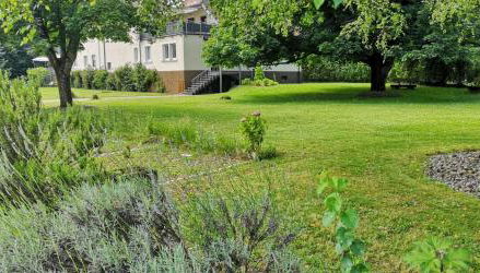 Niederwald - Foto 2, Garden