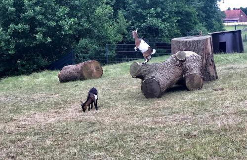 Gutshof Schulze-Althoff - Photo 30