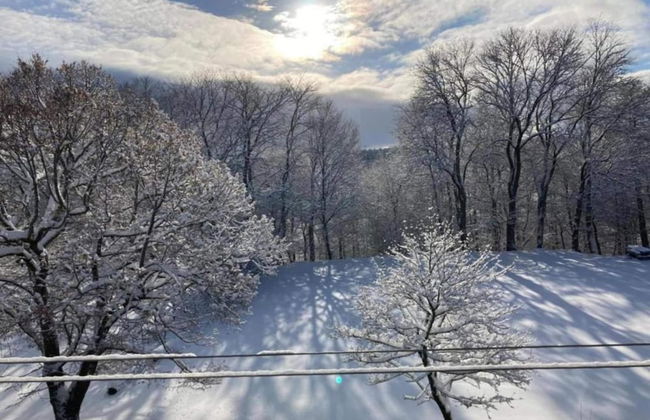 Gorgeous Holiday Home in Altenfeld Thuringia - Foto 64