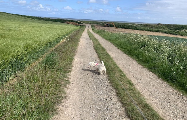 One Bedroom Barn With Free Parking - Photo 10