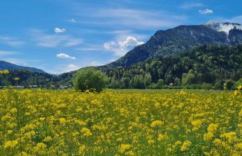 Ferienwohnung 3 - Foto 17