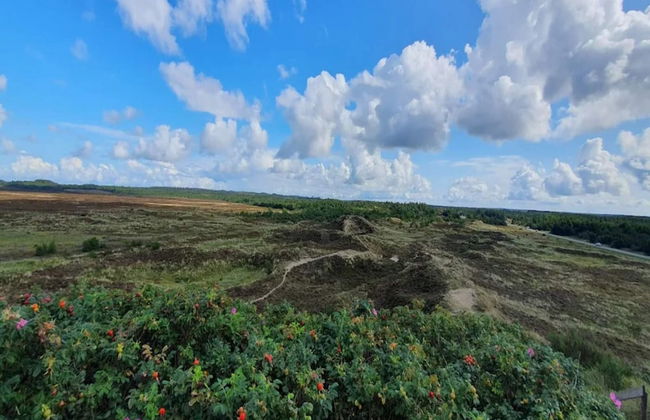 6 Person Holiday Home in Henne-by Traum - Foto 34