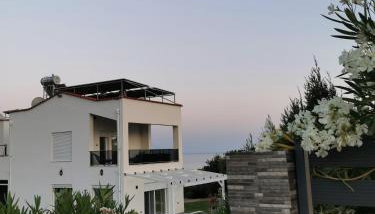 Platan Paradise - Foto 3