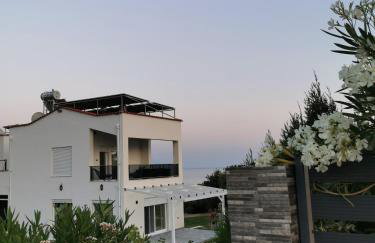 Platan Paradise - Foto 3